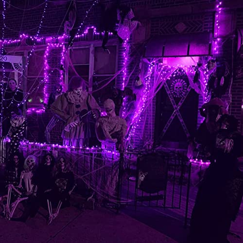 Halloween Fairy String Lights (20 Foot)