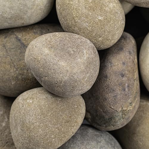 Multicolor Polished Decorative Pebbles Landscape Stone 40 lb (1 inch - 2.5 inch)