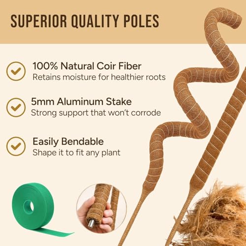 30" Moss Pole Monstera Plant Support (2-Pack (30 in))