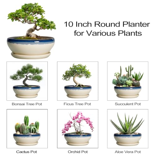 Bonsai Pots 10 Inch Ceramic Pots for Succulents (10 Inch / Blue-beige)