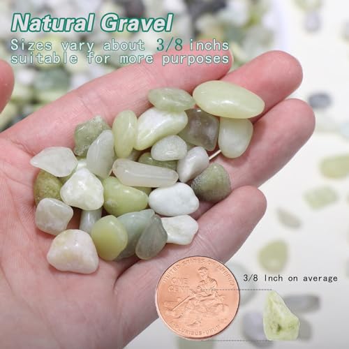 5lb Small Pebbles for Indoor Plants