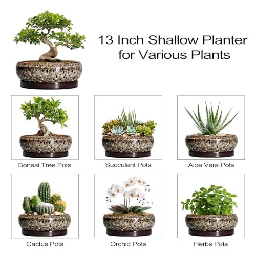 Bonsai Planter 13 Inch (13 Inch / Leopard Brown-white)