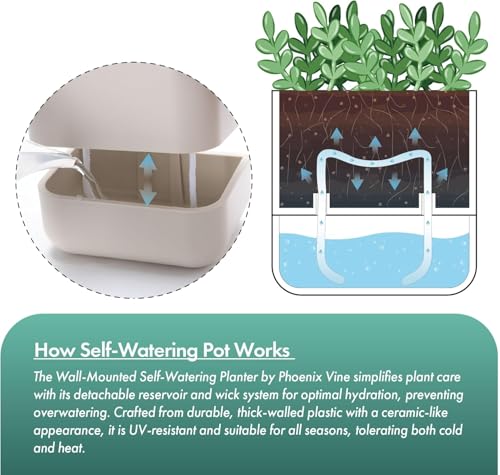 6.5 Inch Wall Mounted Self (6.5" (2 Pack) / Oatmeal)