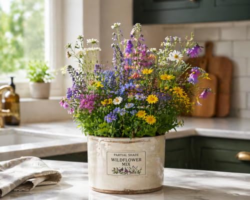 Partial Shade Wildflower Mix Seed (4 oz)