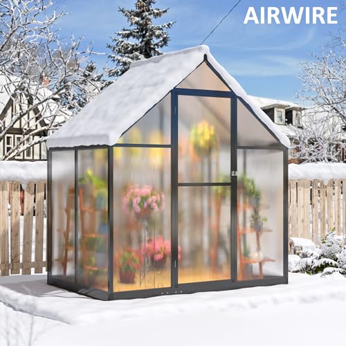 4x6 FT Walk in Polycarbonate Greenhouse for Outdoor (Black / 4x6 FT)