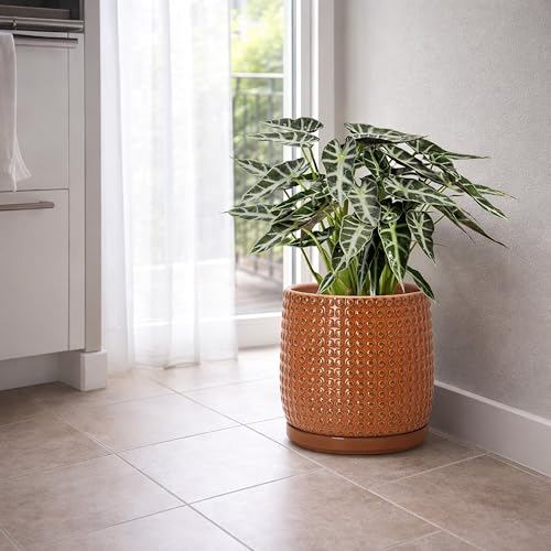 Beaded Ceramic Pot with Saucer (8.8 Inch / Pumpkin)
