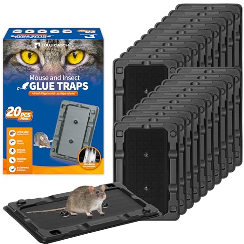 Mouse Traps 20 Pack Sticky Mouse Traps Indoor for Home (Small)