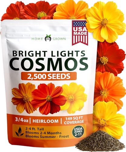 Cosmos Bright Lights Mix 2500 Flower Seeds Cosmos sulphureus