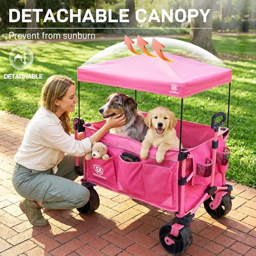 Folding Push Wagon with Canopy (Pink)