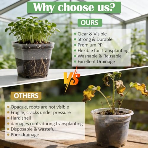 60 Pcs Clear Square Nursery Pots 4 Inch (Clear / 4Inch)