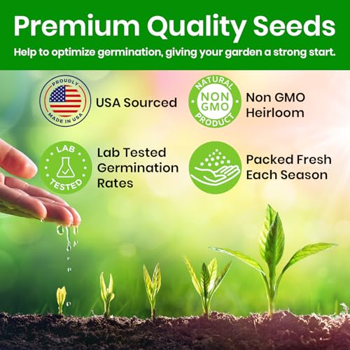 Zinnia Seeds for 2026 Planting Outdoors