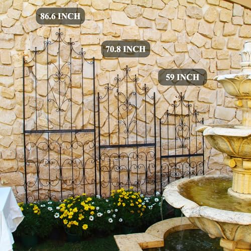 Garden Trellis for Climbing Plants 70.8" H x 25.6" W Metal Premium Quality Material Rust (70.8 inch-1 pack / Black)