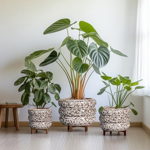 Ceramic Plant Pots (8 Inch / Leopard Print White)