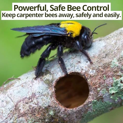 Carpenter Bee Spray for Sheds (16 0z - Carpenter Bee Spray)