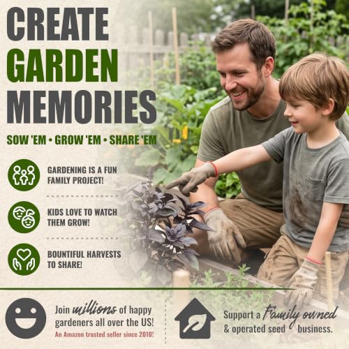 Herb Seeds to Plant Opal Basil (2 Packs)