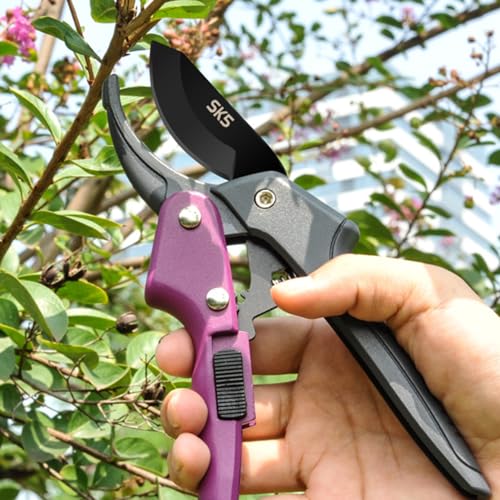 Premium 8 inch garden clippers (Purple)