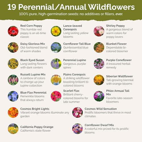 Missouri Wildflower Mixed Seeds for Planting (4 Ounce)