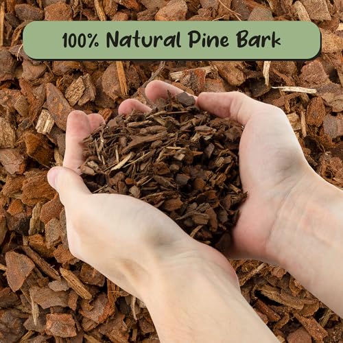 100% Organic Orchid Potting Bark