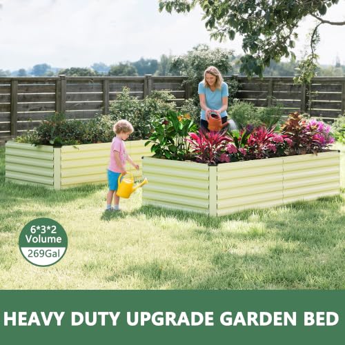 6x3x2ft Raised Garden Bed Outdoor (2 Count)