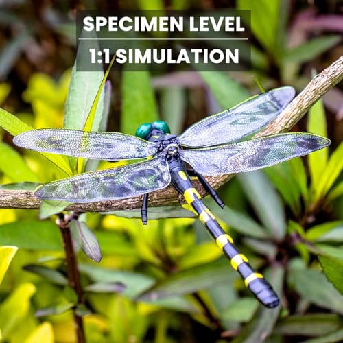 Dragon Fly Clips for Bugs Repellent (6 Count)