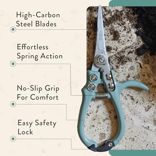 Pruning Shears (Ocean)
