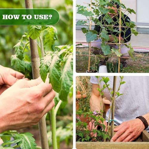 1 2" D 4.75 Feet Bamboo Stakes 50 Pack (50 Count)