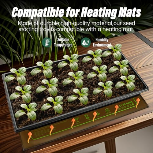Seed Starter Kit (10 Count)