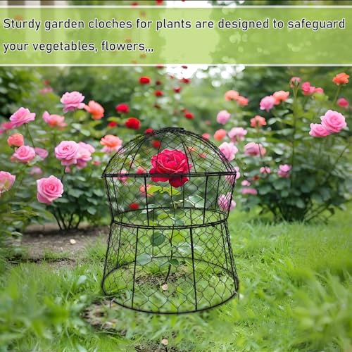 Garden Cloches for Plants 6 Pack Metal Plant Protectors from Animals Chicken Wire Cloche Updated Plant Cages for Outdoor Plants Vegetables Seedlings 13" D x 14" H (6 Pack)