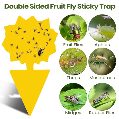 50 Sheets Fruit Fly Sticky Traps for Fruit Fly Gnat Trap for House Indoors Sticky Traps Catcher for Gnats Fungus Gnats Mosquito Catcher Kitchen Outdoor Plants (Yellow, Green / Classic Style)
