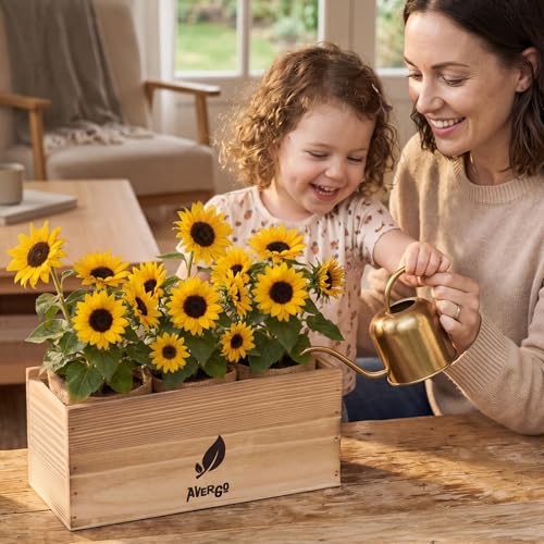 Sunflower Seeds Growing Kit