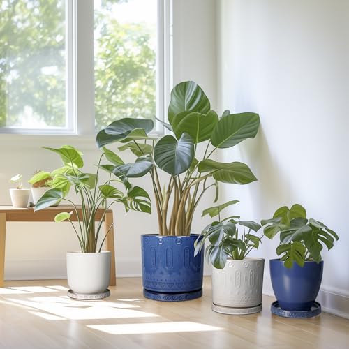 Plant Water Catcher Tray