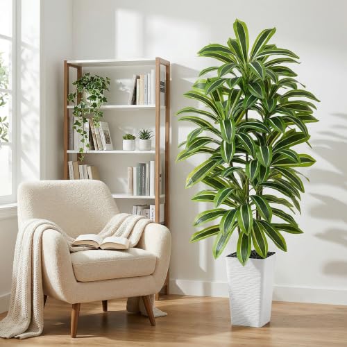 Artificial Dracaena Tree (Light Green – White Pot / 6FT)