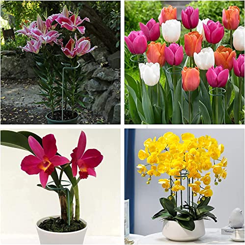 12 Pack 24 Inch Plant Support Stakes for Outdoor Plants and Indoor Flowers (24 inch)