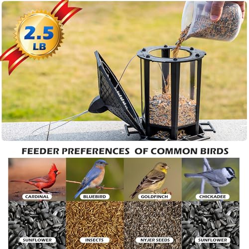 4 Pack Bird Feeders for Outdoor Hanging (Black / 4 PACK)