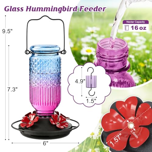 Glass Hummingbird Feeder for Outdoors (Blue-Purple Ombre)