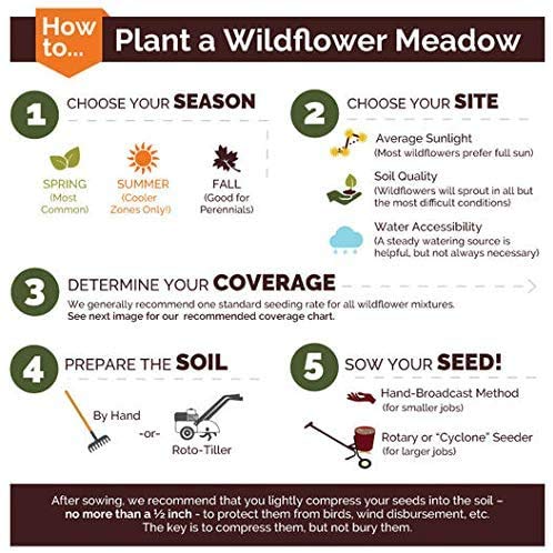 Non GMO Bulk All Perennial Wildflower Seed Mix Non GMO (800 Fl Oz)