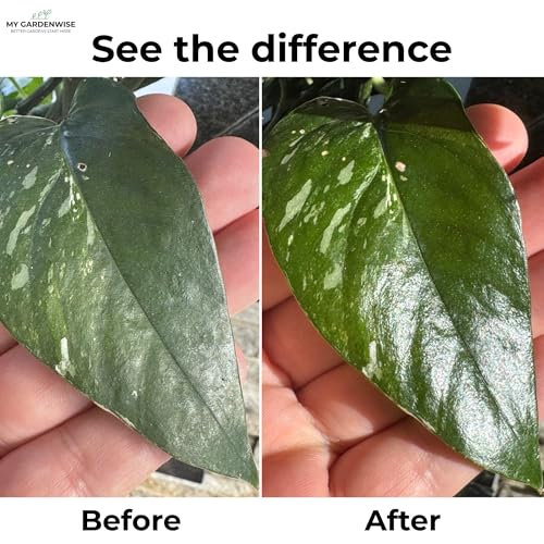 Leaf Shine Spray for Indoor Plants (16 Fl Oz)