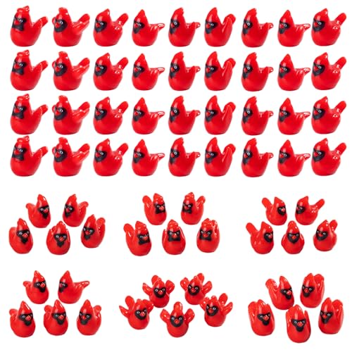 60pc Mini ResinRed Cardinal Bird Figurines 6 Styles Tiny Cardinal Resin Red Bird Figurines Christmas Ornaments for Xmas Gift Mini Garden Cake Topper Christmas Decoration (Cardinal Bird-60p)