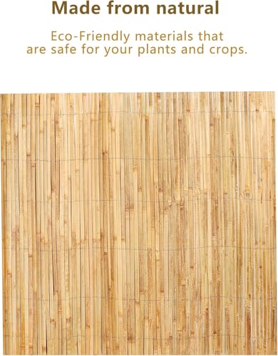 Natural Bamboo Slat Screening for Indoor or Outdoor Garden (6FT x 10FT)