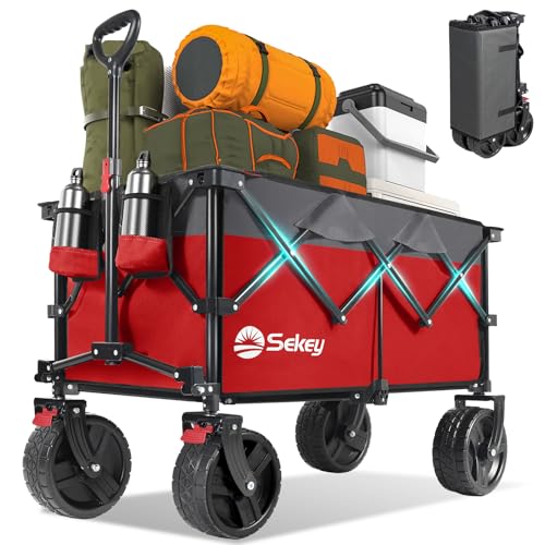 220L Beach Wagon
