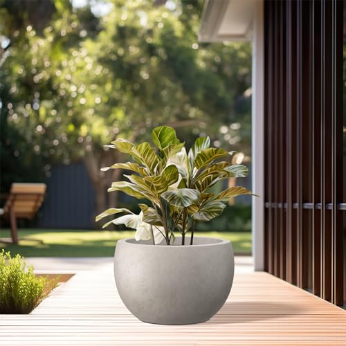 Accent Round Bowl Weathered Concrete Planter 14.8" Dia (Weathered Concrete / 15.7" d)