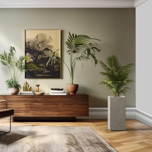Accent Column Square Weathered Concrete Planter 23.6" H (Buff Concrete / 23.6" H)