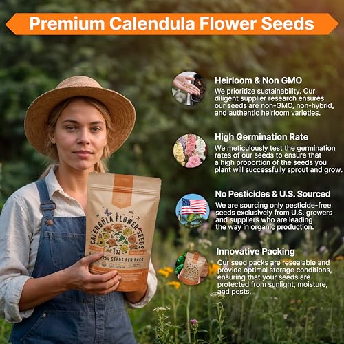 Calendula Seeds Pack 1 oz
