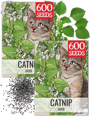 Catnip Seeds to Plant Heirloom Non (2 Packs)