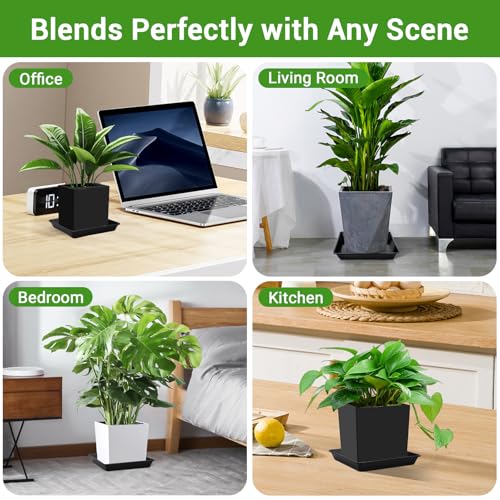 Plant Trays for Pots Square