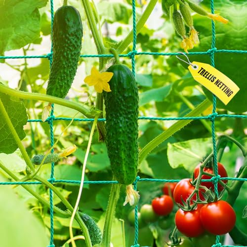 Trellis Netting for Climbing Plants (6.6x9.85 FT (27 Strands))