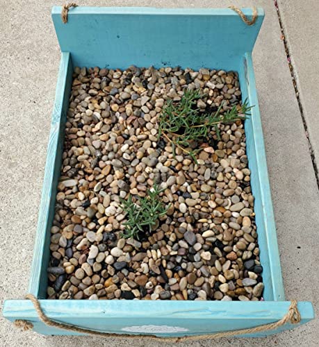 River Rock Stones (144 Ounce)