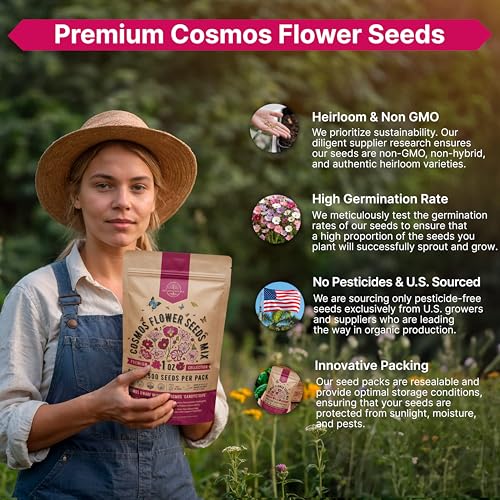Cosmos Flower Seeds Pack 1 oz