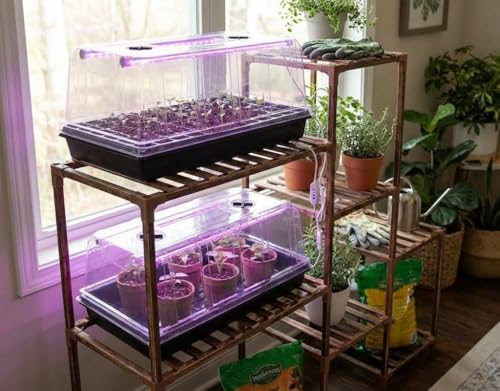4 Pack 1020 Trays with Grow Light & 72 Cell Plug & 6.3" Tall Humidity Domes (4p 1020Trays+6.3''Domes+72 Plugs+Lights)