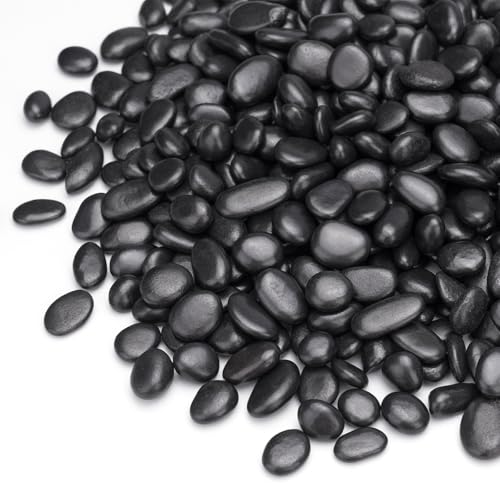 10 lbs Black Pebbles for Indoor Plants (160 Ounce)
